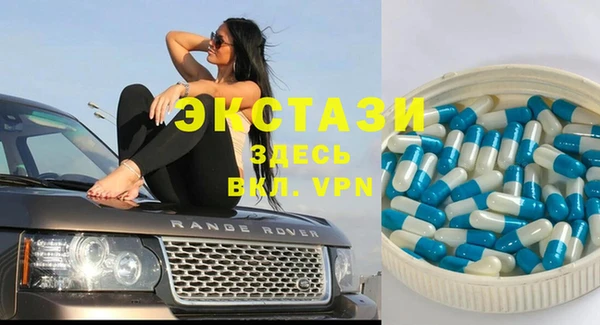 индика Бронницы