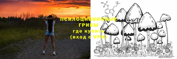 марки nbome Тайга