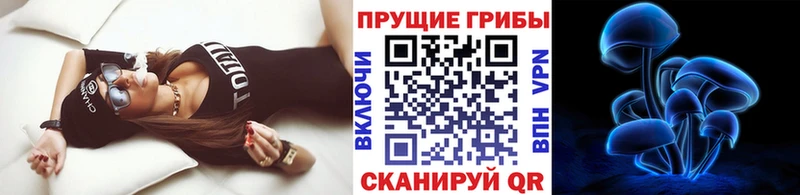 блэк спрут рабочий сайт  Мезень  это формула  Псилоцибиновые грибы Psilocybe 