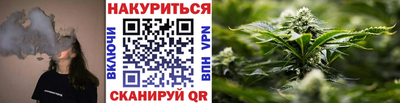 дарнет шоп Мезень Канабис планчик